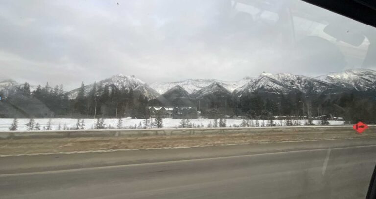 MY EXPERIENCE IN THE EXCHANGE PROGRAM